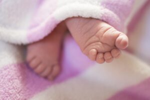 少額投資初心者がNISAとiDeCoどっちを選ぶべきか？